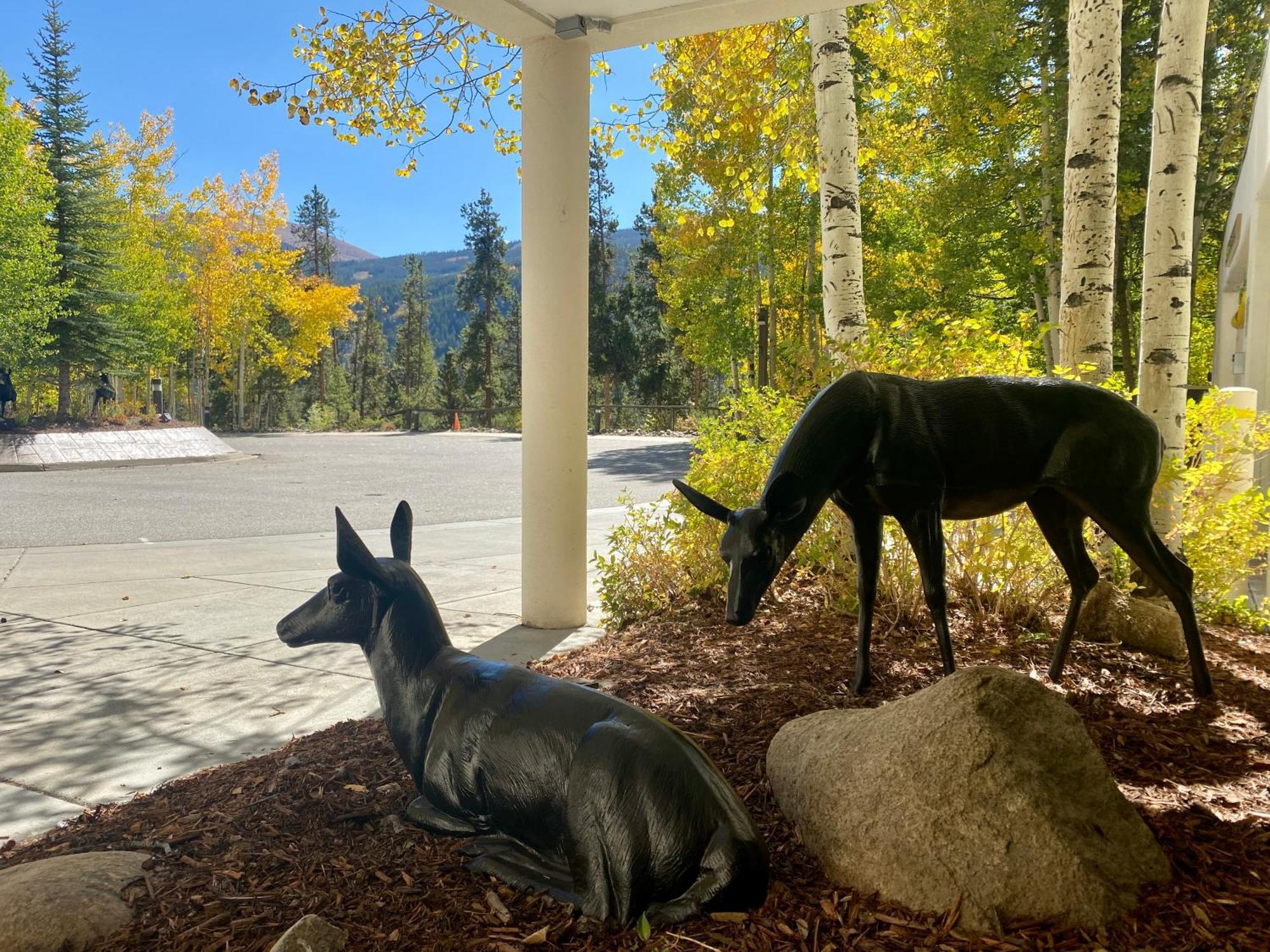 Wild Irishman 1043 By Summitcove Lodging Keystone Exterior foto